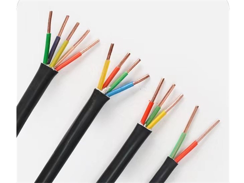 計(jì)算機(jī)電纜ZR-DJYPVP 2*2*1