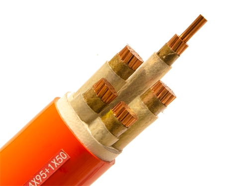 廣西電線電纜廠：礦物質(zhì)電纜是什么？